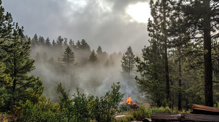 Smoke curling upward from campfire in misty forest landscape