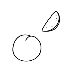 Peach Vector Illustration hand drawn in Doodle style. Whole peach and Slice of Fruit isolated on a white background. Simple black and white outline. For product packaging, menu, logos
