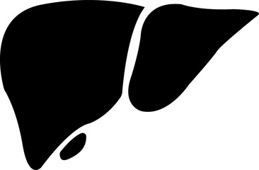 Human liver organ flat icon, showing various health and medicine concepts designs, Human body related internal organ. Anatomical liver symbol on isolated transparent background. Human anatomy.
