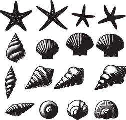 Set of different shape sea shells and starfish, silhouette vector illustration.