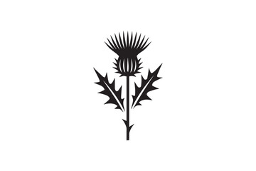 simple and subtle vector silhouette of thistle  in black and white, set against a white background. 