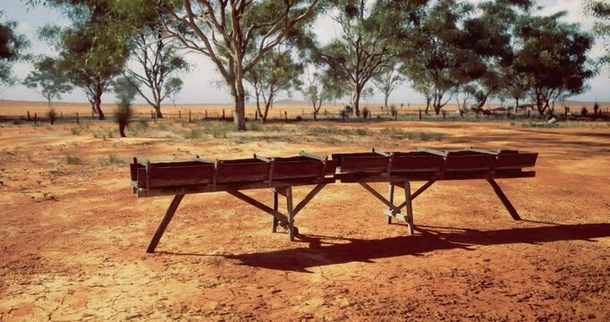Two rustic wooden troughs are placed on parched earth surrounded by sparse trees in an Australian rural area, highlighting the harsh conditions of a sunny day.