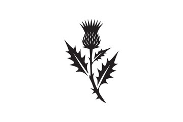 simple and subtle vector silhouette of thistle  in black and white, set against a white background. 