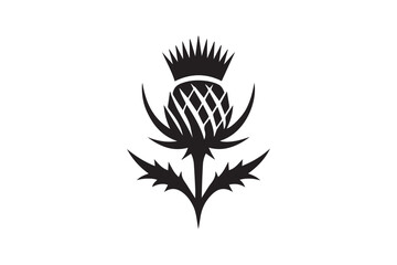 simple and subtle vector silhouette of thistle  in black and white, set against a white background. 