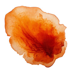 orange ink splashes isolated on white