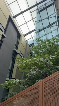 Japanese style terrace or outdoor area of Fulmar Hotel, Pasteur. modern and minimalist architecture design. low angle shot of green concept building with glass ceiling