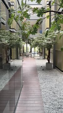 selective focus of a green leaf with Japanese style terrace or outdoor background of the Fulmar Hotel, Pasteur. modern and minimalist architecture design. relax environment
