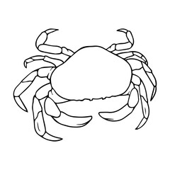 crab outline vector illustration