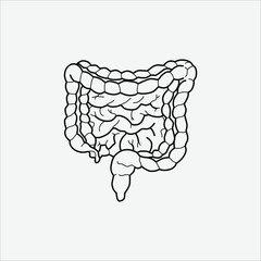 intestines drawing artwork handmade illustration