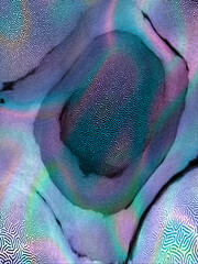 Light blue and pink abstract background