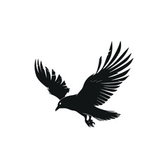 Flying Black Bird with Minimalist Composition
