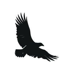 Flying Black Bird with Minimalist Composition
