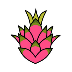 illustration vector graphic of dragon fruit suitable for use in food design