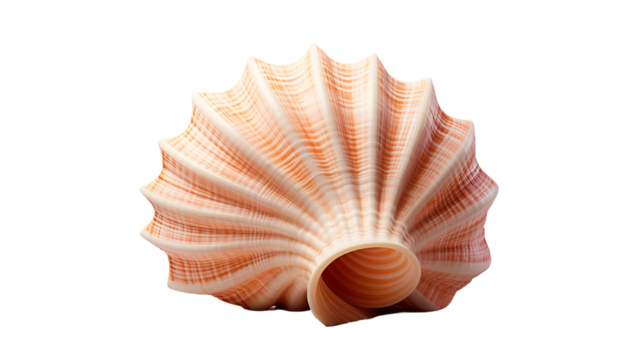 Closeup of Scallop Shell, Natural Spiral Texture in Pink and Orange for Ocean and Beach Themes, transparent background. - Powered by Adobe