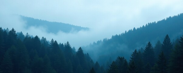 Dense pine forest foggy atmosphere misty landscape, atmosphere, pine forest, blue