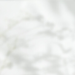 Botanical Shadow Overlay with Soft Light for Modern Branding, Wedding Invitations, and Minimalistic Design Projects. Vector illustration