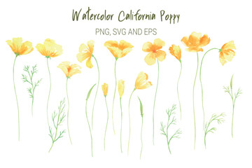 spring flower watercolor illustration 