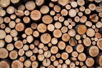 Firewood Pile - Concept of Energy for Heating