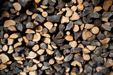 Firewood Pile - Concept of Energy for Heating