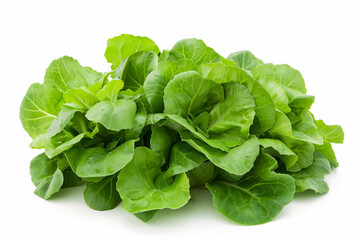 Pak choi or bok choy. healthy food. asian trend