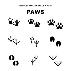 Tracks set of animal icons. Vector illustration