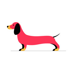 Dachshund Dog In Flat Vector Illustration Symbolizing Pets, Loyalty, And Elegance, Isolated On White Background