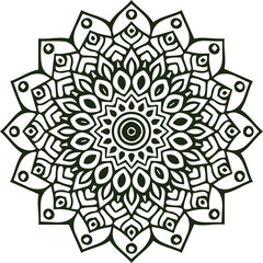Beautiful flower art and mandala vector design