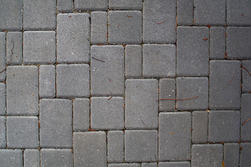 Outdoor Pavement Texture with Concrete Blocks
