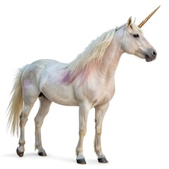 Obraz premium Unicorn png isolated on white background