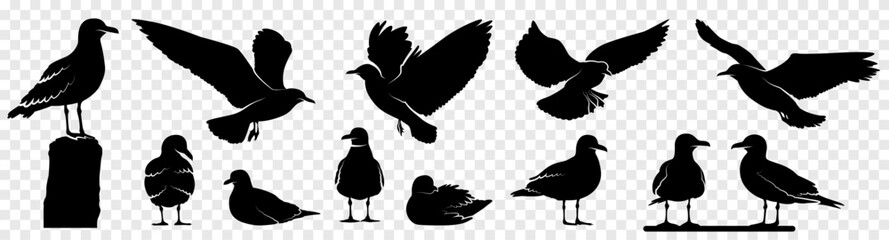 Flying and standing seagulls birds silhouette black set isolated on transparent background