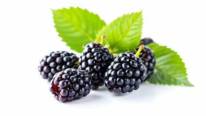 Fresh Juicy Blackberries isolated on white