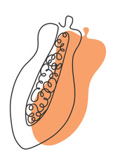 Papaya fruit concept. Orange papaya print. Tropical fruit illustration. Hand drawn line illustration. Minimalism. Poster with fruit. Vector illustration, orange color