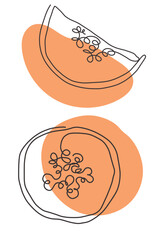 Papaya fruit concept. Orange papaya print. Tropical fruit illustration. Hand drawn line illustration. Minimalism. Poster with fruit. Vector illustration, orange color