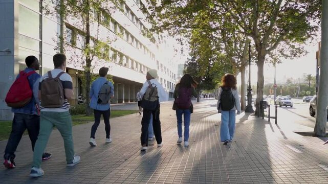 Multicultural group of students walking going out of university, leaving to go home. Rear view of classmates outside of the school after class. Video with copy space.