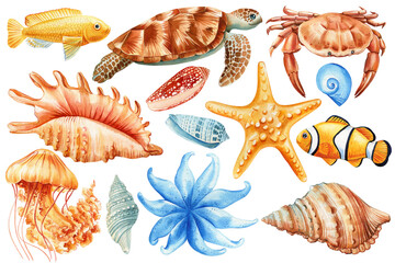 Marine set watercolor fish corals, shells, turtle, crab and starfish on isolated background. Ocean elements for design