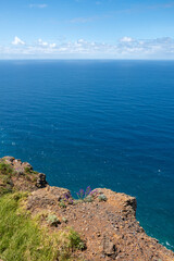 Cliffs and Atlantic ocean, Madeira, Portugal