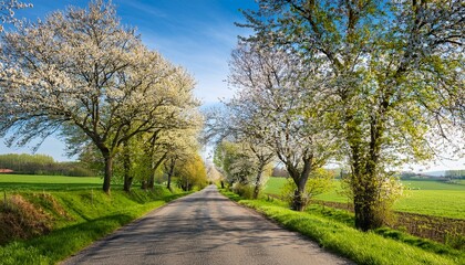 Obraz premium Scenic Spring Road – Tree-Lined Path with Fresh Green Foliage and Blooming Countryside Landscape