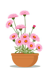 Obraz premium Vector illustration of pink daisies in a brown pot, symbolizing spring and beauty