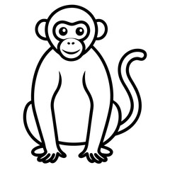 monkey line art vector