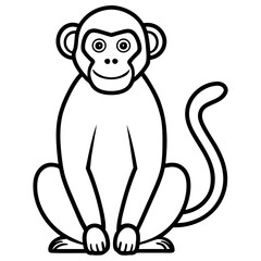 monkey line art vector