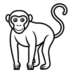 monkey line art vector