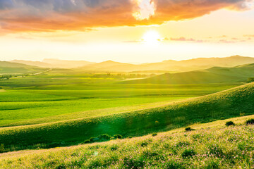 Obraz premium Scenic view at beautiful spring sunset in a green shiny field with green grass and golden sun rays, beautiful cloudy sky on a background
