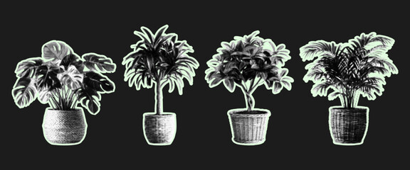 Collage houseplant with a grunge semitone effect. Floral clippings from magazines, Dracaena, Monstera, Ficus. Vector. © Olgadesigner