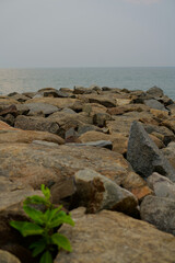 Rocky breakwater along the seashore