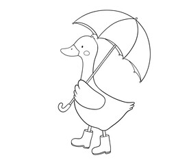 Cute goose with umbrella, boots, line art, hand drawn illustration for coloring book or page