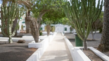 Blurred garden pathway lined with tall cacti and palm trees in lanzarote with an out of focus background hinting at a sunny day.