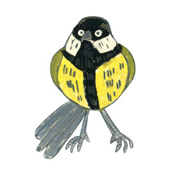 Little cartoon tit. Small songbird. Drawing of a funny bird with round eyes. Design element for textiles, prints, stickers, cards, packaging. Pencil drawing. Isolated on white background