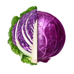 Fototapeta premium A vibrant purple cabbage, sliced in half to reveal its intricate layers and textures.