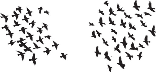 Silhouette of a flock of birds flying vector illustration