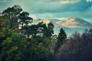 landscape in the morning